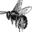 Pixiespocket Icon