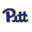 Pittsburgh Panthers Icon