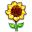 Southern Exposure Icon
