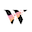 Willa Icon