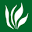Aplatestnews Icon