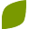 Viva Naturals Icon