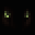 Sneekaround Icon