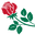 Nanz and Kraft Icon