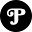 Thepassportprogram Icon
