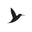 Tattyoo Icon