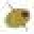 The Spotted Olive Icon