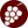 Speakwines Icon