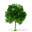 Rusticart Icon