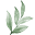 Elevenherbs Icon