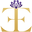 Twinelegance.com Icon