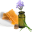 Cfherbalsupply Icon