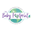 Thebabyfootprint.com Icon