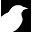 Cuckoocollections Icon