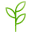 Ojoba Collective Icon