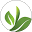 Mysteepedteaparty Icon