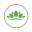 Royaltypecans Icon