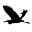Jasonsavagephoto Icon