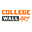 Collegewallart Icon