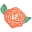 Angie Makes Icon