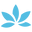 Skineez Skincarewear Icon