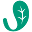 Jade Leaf Matcha Icon