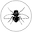Commonhousefly Icon