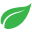 Taiwanleaftea Icon