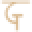 Theglocaltrunk Icon
