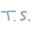 Taylor Swift Icon