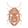 Quatrine Icon