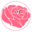 Bloomsandmoonlight Icon