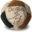 Worldfootbag.com Icon