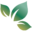 Sonamba Icon