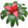 Skyflowers Icon
