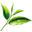 You, Me and Tea Icon