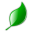 Your-Hcg.com Icon