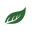 Tease Tea Icon