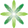 Formula Botanica Icon