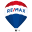 Remax Icon