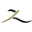 Zadinaabayaslondon.com Icon