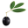 The Tubby Olive Icon