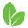 Webeden Icon