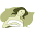 Mattresses.net Icon
