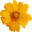 Whisperorphans Icon