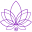 Spiralsoflight Icon