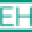 Elizabeth Hurley Icon