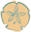 Islandreal Icon
