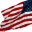 Flagcenter Icon