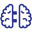 Caputron Icon